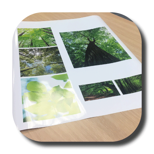 large_format_photo_04